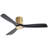 Nicola 52'' 3-Blade Ceiling Fan With Remote Control-1789334593