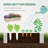 Raised Garden Bed with Polycarbonate Greenhouse