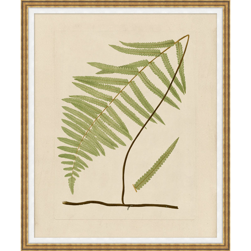 Verdant Form I