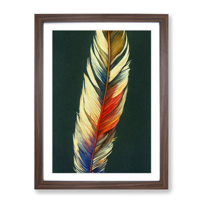 Feather of Colour No.4 1 Piece Single Picture Frame Wall Art