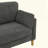 Modern Minimalist 2-Seater Sofa-459523258