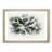 Tree Tops in Abstract - Picture Frame Graphic Art Print-55767720-55767721