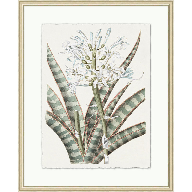 Fleur achromatique 1 - Peinture sur papier encadrée