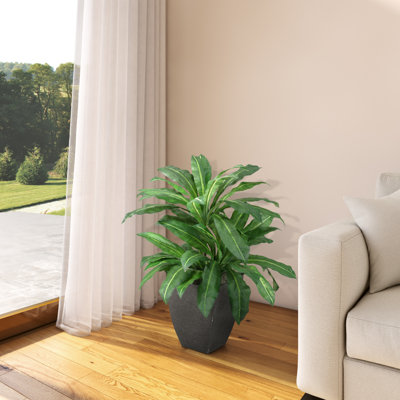 36'' Faux Birdnest Palm Plant in Planter