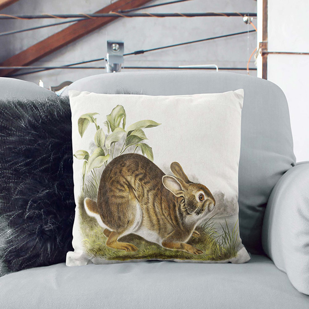 Swamp Hare by J.W. Audubon Cushion with Filling