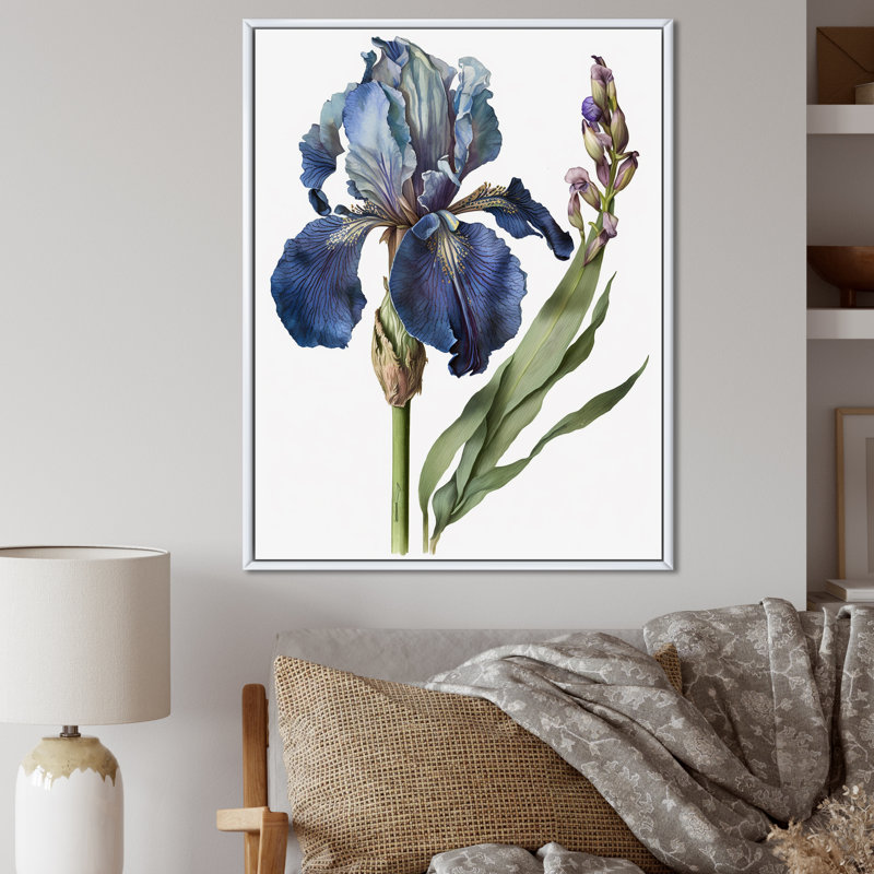 Iris bleu, illustration botanique sur toile, Cadre flottant blanc, H 40 po x l 30 po x P 1,5 po