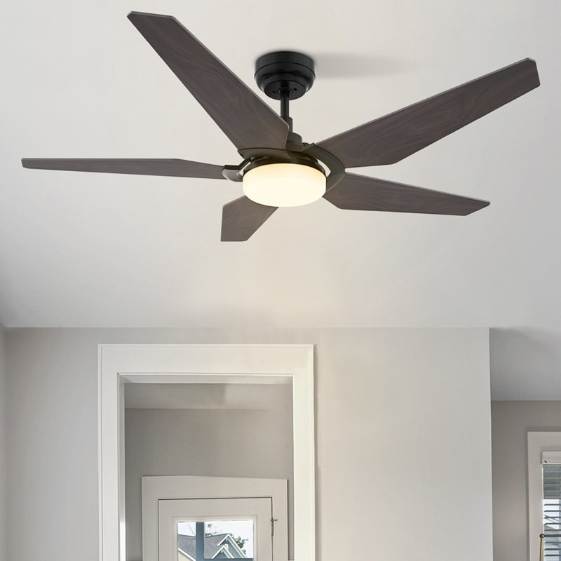 Alcie 5 - Blade LED Smart Standard Ceiling Fan with Remote Control and Light Kit Included, Black/Golden