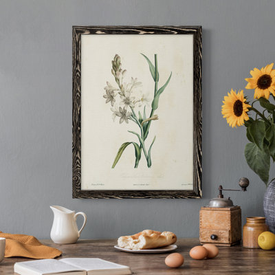 Toile encadrée de qualité supérieure Traditional Botanical IV - prête à être accrochée