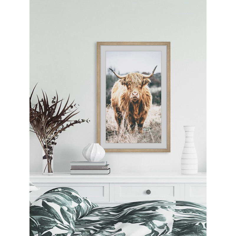 Scottish Highland Cattle - Print, 61cm H x 61cm W x 3.81cm D, Brown Framed Paper