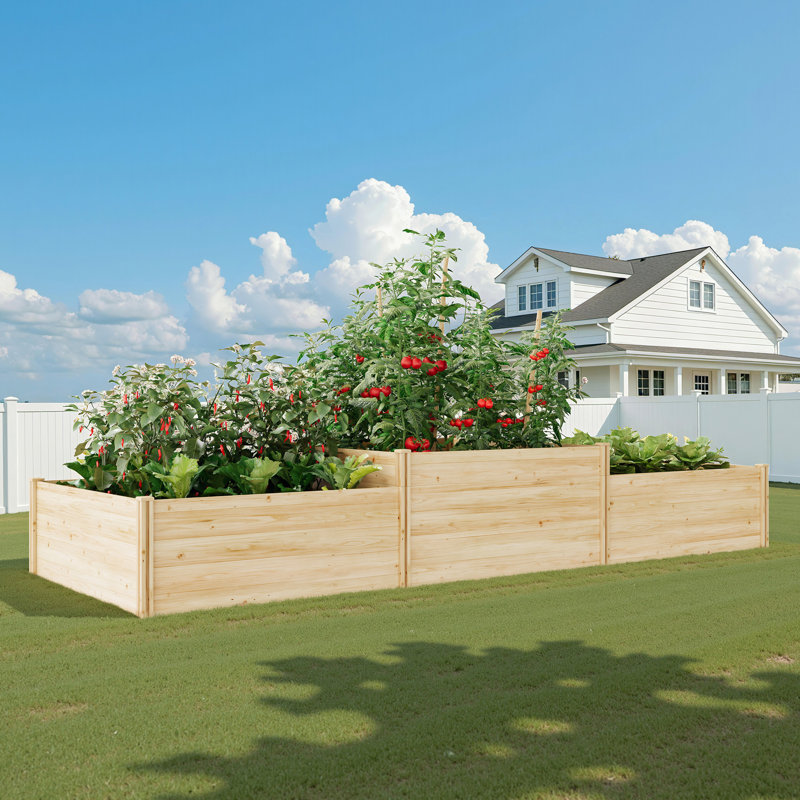 2-tier Solid Fir Raised Garden Bed With Mortise & Tenon Construction, 3-section Open-bottom Planter Box For Vegetables, Flowers & Herbs (142" × 49" × 24")