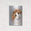 «American Curl 2» par Barbara Keith-810160917