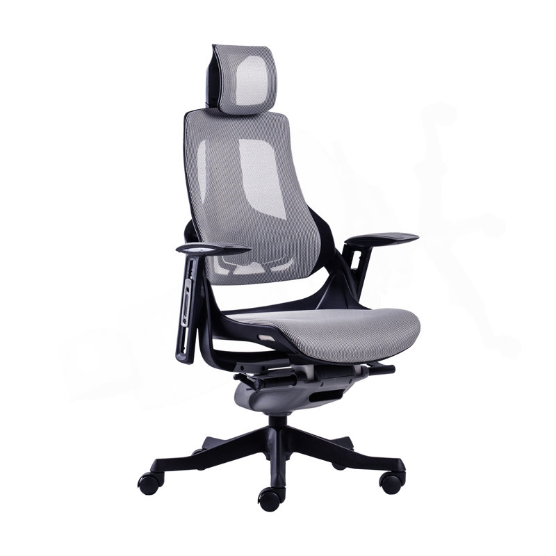 Fauteuil de direction ergonomique Techni Mobili LUX
