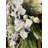 Faux Poinsettia 24'' Wreath