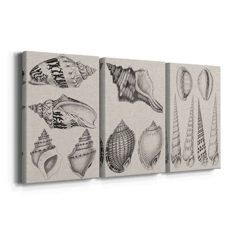 Gris anthracite et coquilles de lin IV - Toile tendue sur mesure avec châssis - 3 pièces, H 12 po x l 24 po