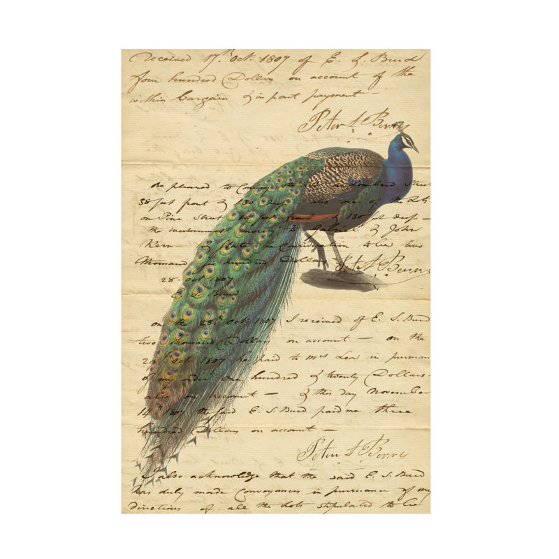 Marcus Jules Peacock Canvas Art, 24" H x 16" W