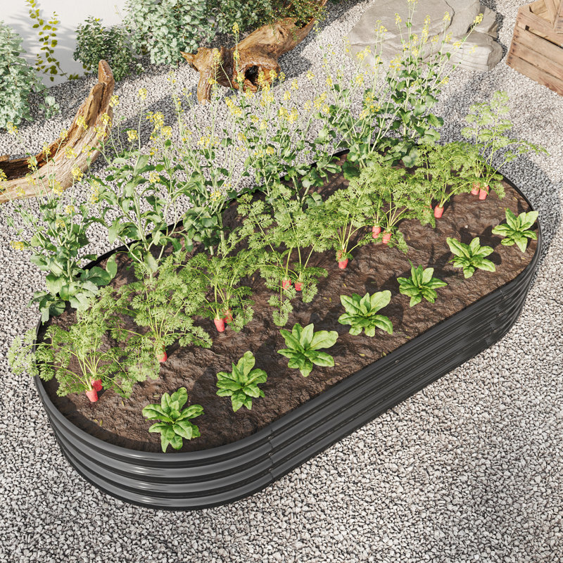 Oval Metal Raised Garden Bed In Black - Facilitate Abundant Plantings Outdoor Bed, Create An Inviting With Plants & Veggies Shape