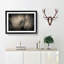 Gentle Elephant in Abstract - Picture Frame Graphic Art Print-55727016-55727015