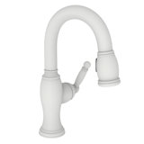 Nadya Single Handle Pull Down Bar Faucet