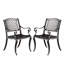 Chaises de salle à manger d'extérieur en fonte noire (ensemble de 2)