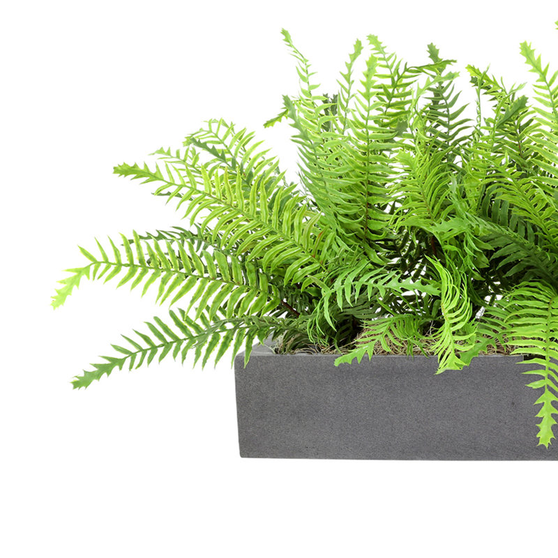 Outdoor UV Rated Ferns Arranged in Fiberstone Planter, 16" H x 32" W, Gray