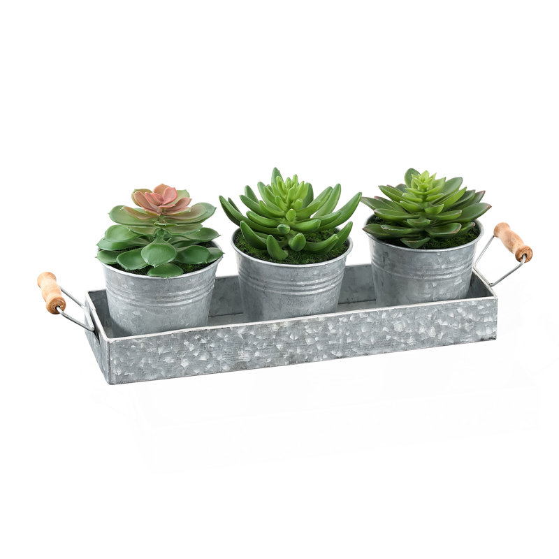 Plantes artificielles, ensemble de 3, hauteur 6 ", plante grasse, pots en métal argenté, contemporain, moderne