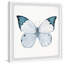 Snowy Butterfly Wings - Single Picture Frame Painting-71125293