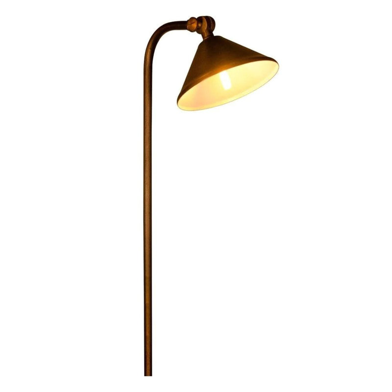 Natural Brass 21.75'' LED Pathway Light with Directional Fixture