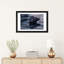 « black swan dunes », impression sur toile-71972654-71972655