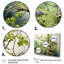 Green Tree Bird Sycamore Serenade - Floral Canvas Art Print88-740685211-740685217