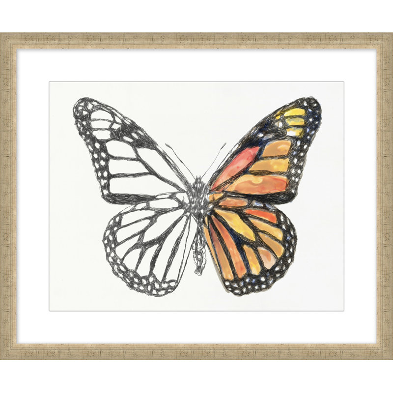 Papillon Croquis 3 Print