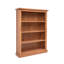Elliana 120cm H Standard Bookcase-608173849
