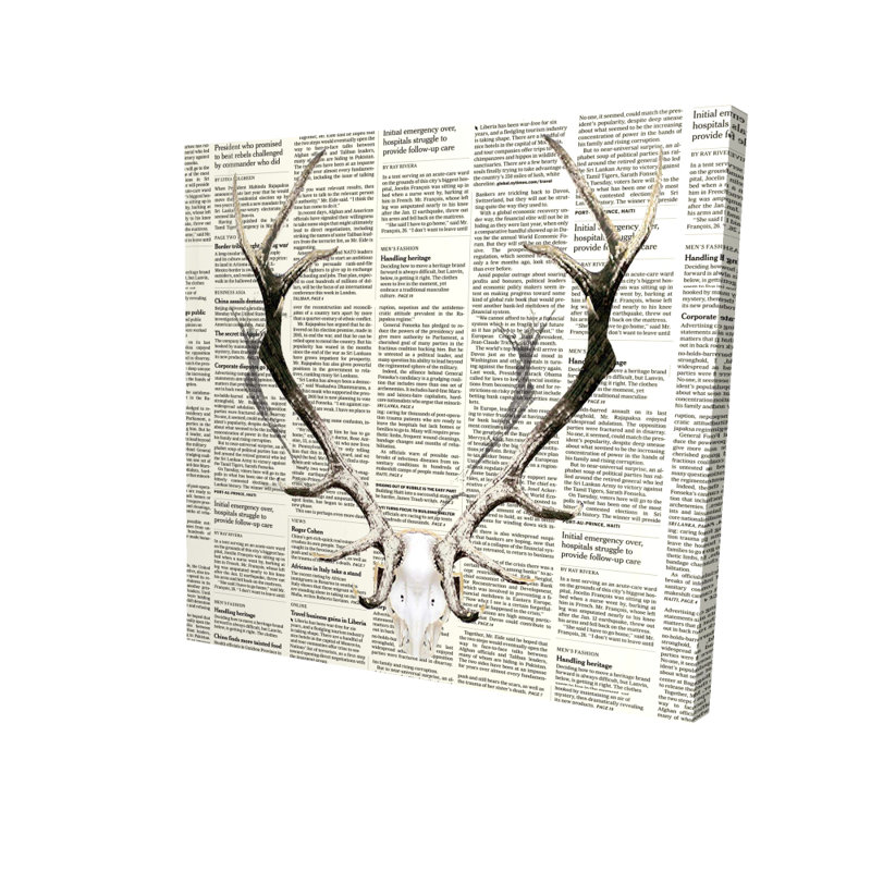 Toile rustique avec des animaux bruns | Cornes de cerf sur un décor de journal, H 24 po x l 24 po