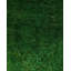 Tapis unique en laine 4 pi 7 po x 6 pi 10 po Nartana