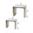 Glass Top Nesting Tables End Table