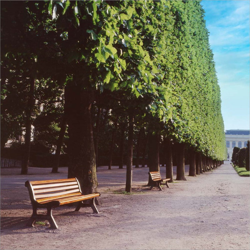 Décoration murale
