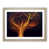 Oak Framed