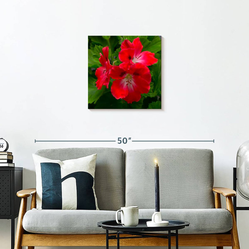 Fleurs d'hibiscus rouges Harnek