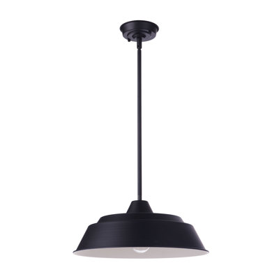  Luminaire suspendu d'extérieur noir à 1 ampoule H 4 po
