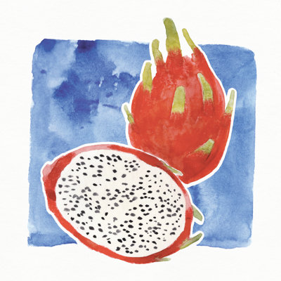 Dragon Fruit - Wrapped Canvas Art Prints