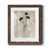 Papier, cadre noyer