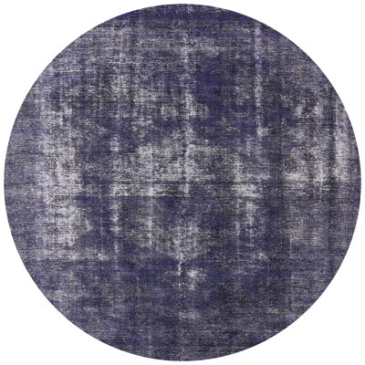 Oriental Indoor Rug