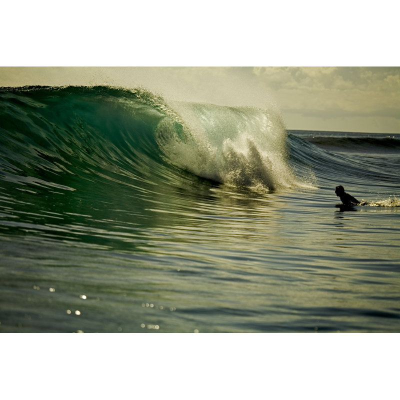 «Duck Dive» par Maybaybutter, H 24 po x l 36 po