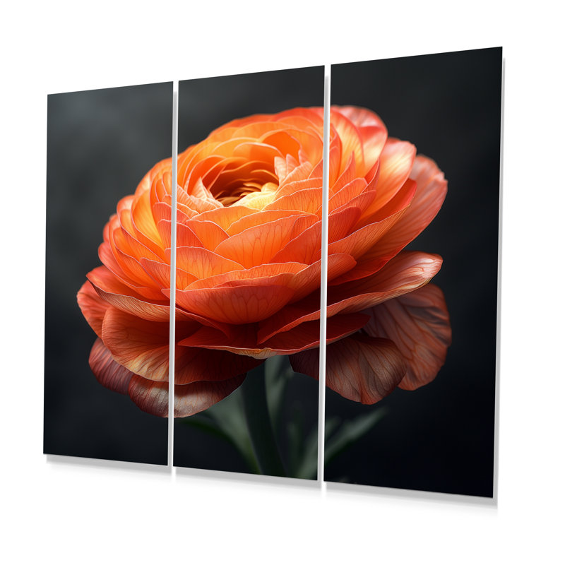 Ensemble de salon art mural orange Renoncule Bloom II - Renoncule, Métal métal, H 40 po x l 60 po x P 1 po