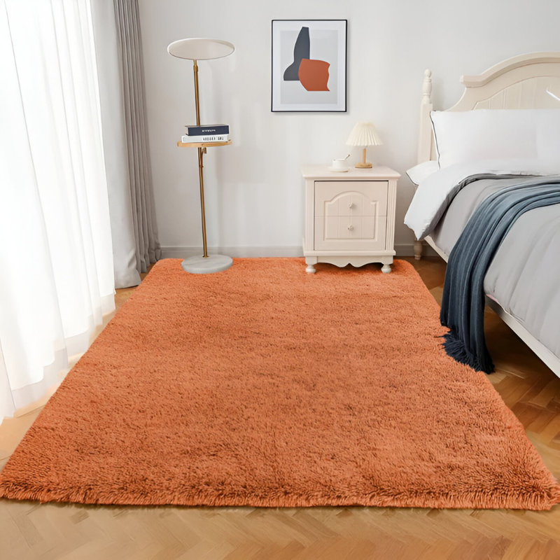 Deith Standard Shag Area Rug, Rectangle 60 x 110 cm