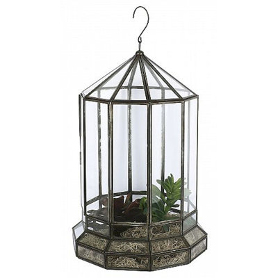 Terrarium en verre Aiyub