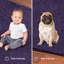 Tapis rond rond Mendenhall-263920282
