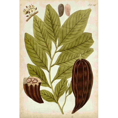 Modèle horticole III