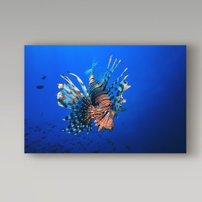 Art mural sur toile tendue - Barathieu Gabriel «Poisson-lion» pour décoration de salon, de chambre à coucher ou de bureau - 12 x 19