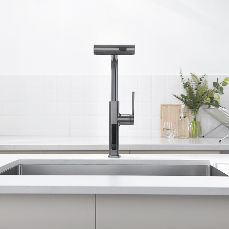 Single Handle Kitchen Faucet with Accessories, Gray