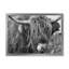 «Scottish Cow on Moorland II» - photographie sur toile-60162418-60162410